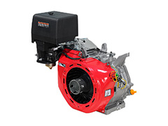 Petrol engines TSS